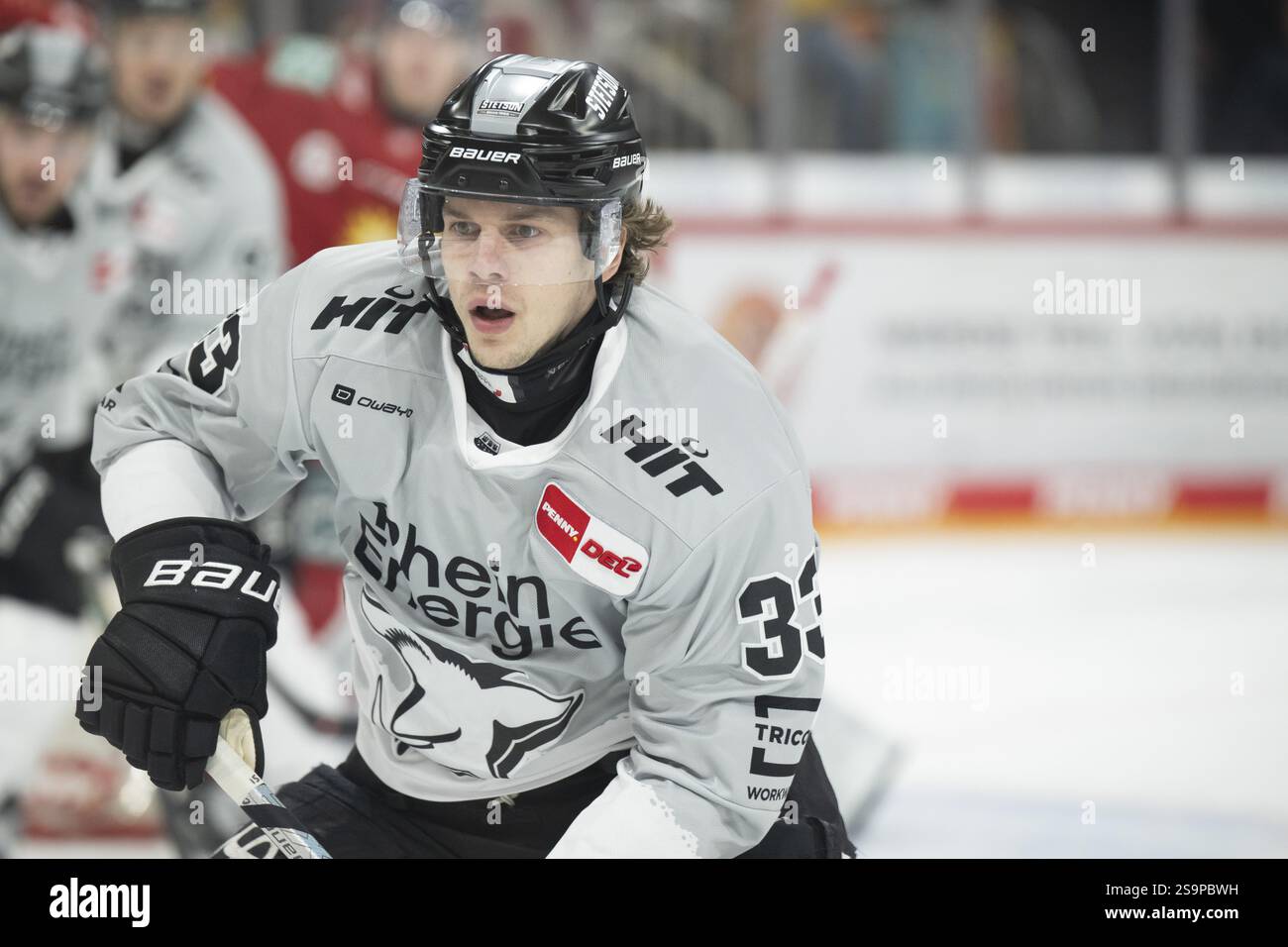PSD Bank Dome, Düsseldorf, Nordrhein-Westfalen, Tim Wohlgemuth (Koelner Haie, #33), PENNY DEL, Duesseldorfer EG- Koelner Haie am 24.01.2025 Stockfoto