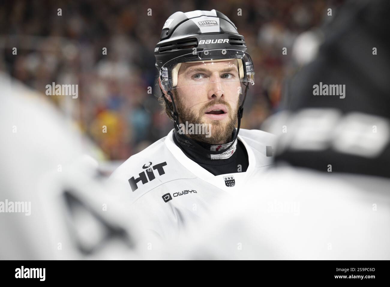 PSD Bank Dome, Düsseldorf, Nordrhein-Westfalen, Brady Austin (Koelner Haie, #57), PENNY DEL, Duesseldorfer EG- Koelner Haie am 24.01.2025 bei der P Stockfoto