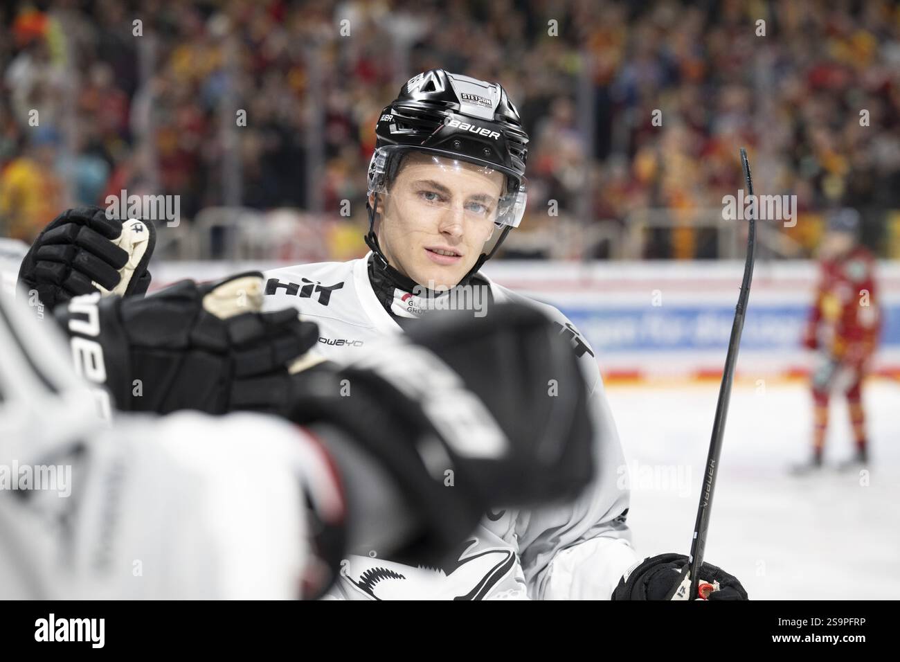 PSD Bank Dome, Düsseldorf, Nordrhein-Westfalen, Jan-Luca Sennehnn (Koelner Haie, #17), PENNY DEL, Duesseldorfer EG- Koelner Haie am 24.01.2025 AT Stockfoto