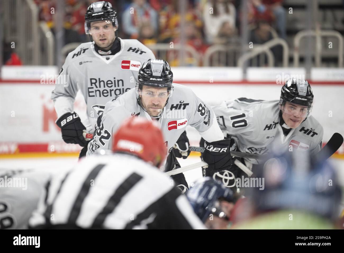 PSD Bank Dome, Düsseldorf, Nordrhein-Westfalen, Alexandre Grenier (Koelner Haie, #82), PENNY DEL, Duesseldorfer EG- Koelner Haie am 24.01.2025 AT Stockfoto