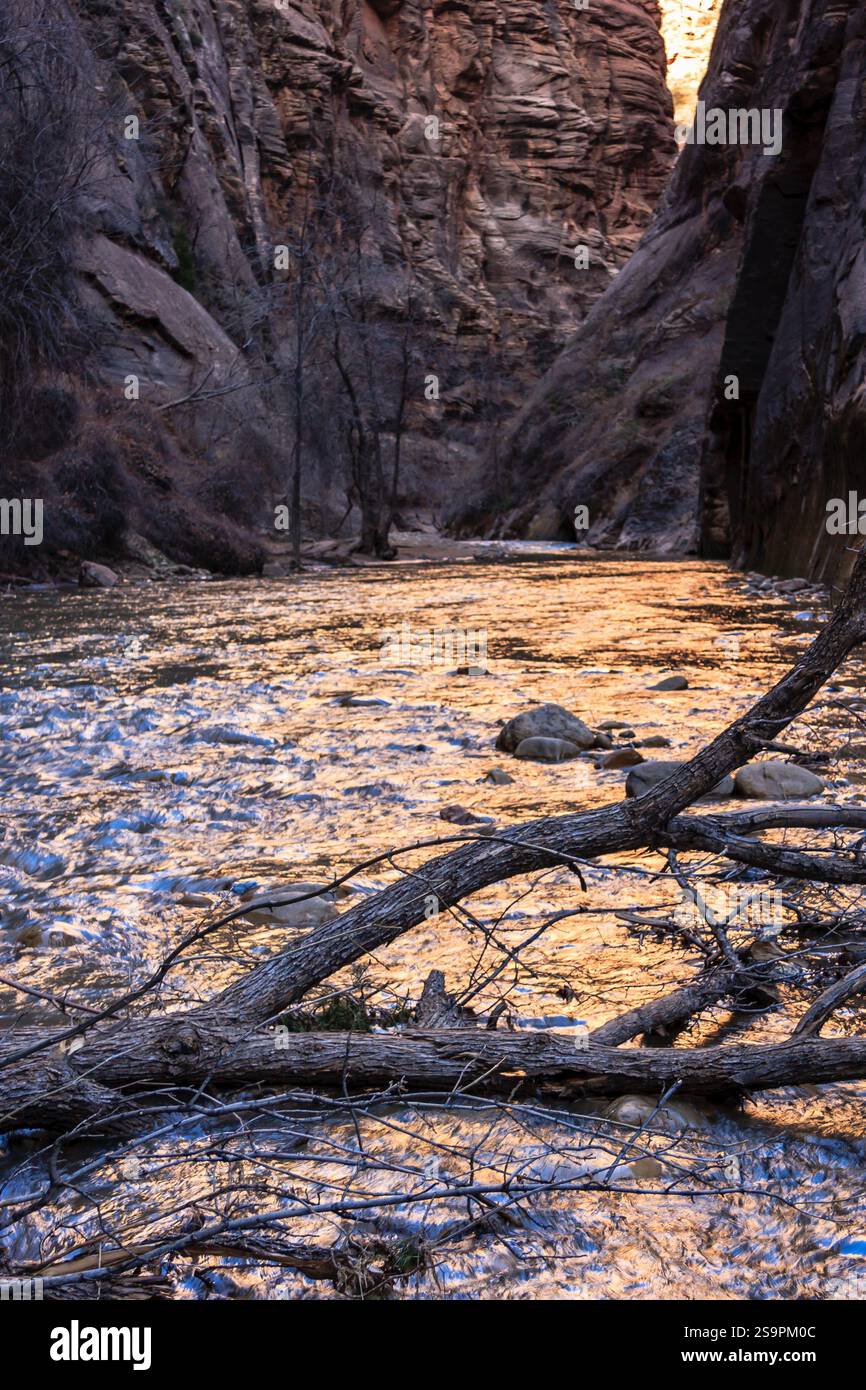 Ein Fluss mit einem Baumzweig darin. Das Wasser ist ruhig und die Sonne untergeht Stockfoto