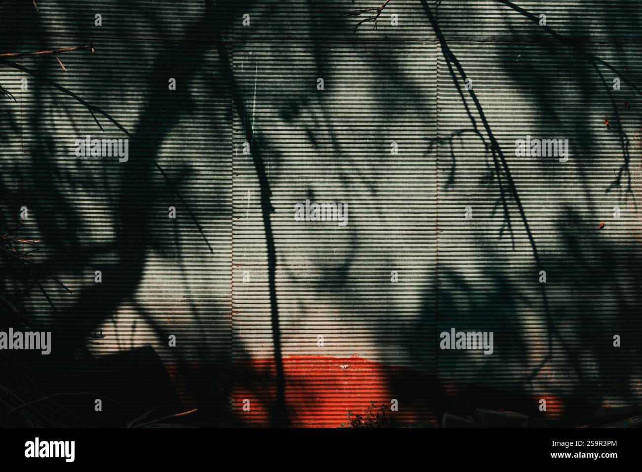 Abstrakter Hintergrund, Schatten der Baumzweige auf metallischer Oberfläche, Schmirgelstruktur Stockfoto