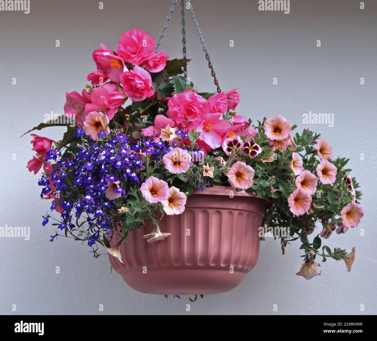 Hängekorb mit Blumen Stockfoto