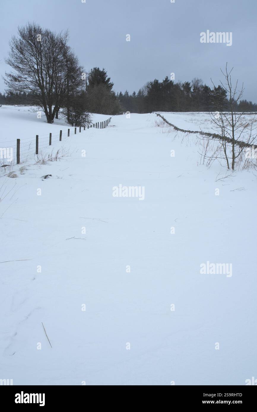 Eine Straße, die nach Februar 2018 vollständig in Schnee vergraben wurde, Beast from the East Storm, nahe Kielder Water, Northumberland, England. Stockfoto