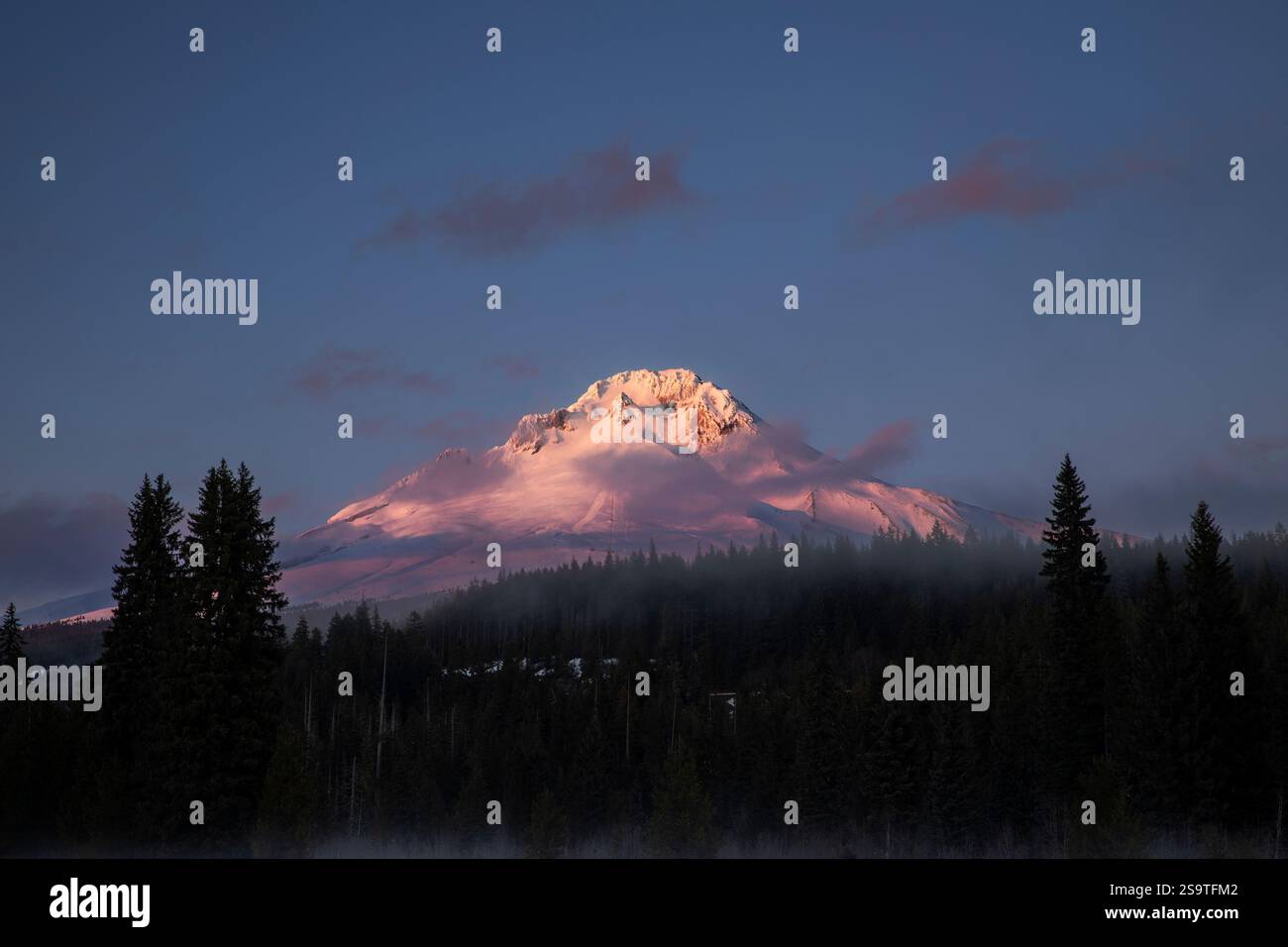 OR03012-00....OREGON - Mount Hood im Winter von der Trillium Lake SLI Loop, Mount Hood National Forest. Stockfoto