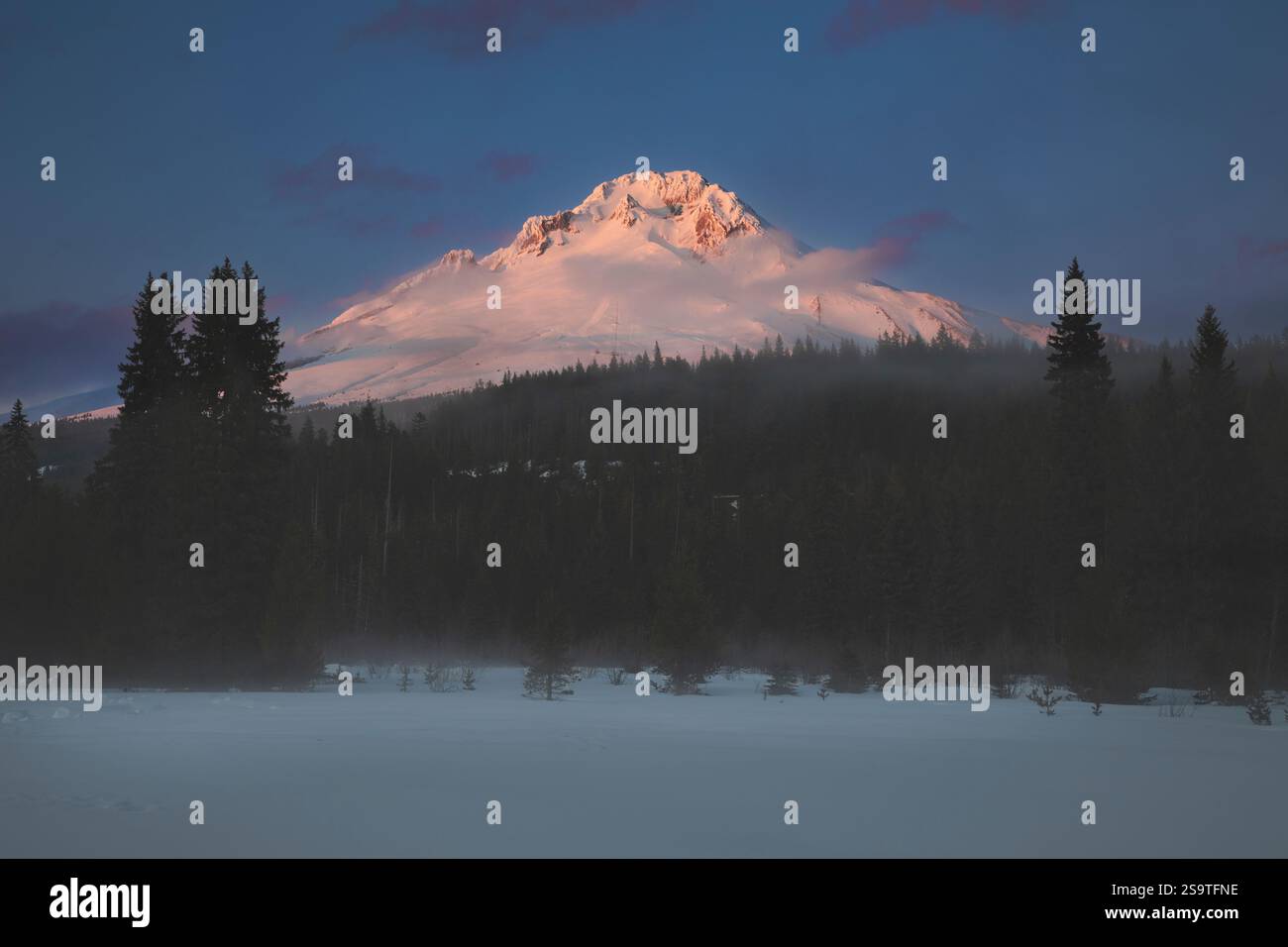 OR03013-00....OREGON - Mount Hood im Winter von der Trillium Lake SLI Loop, Mount Hood National Forest. Stockfoto
