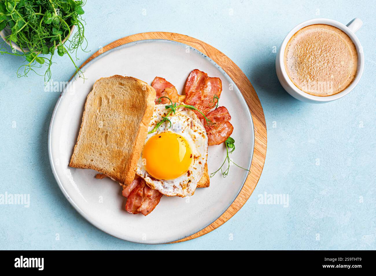 Frühstückssandwich mit Spiegelei, Speck und grünen Erbsensprossen auf blauem Hintergrund. Gebratenes sonniges Ei mit Speck auf Toast mit Mikrogrün und Morgen Stockfoto