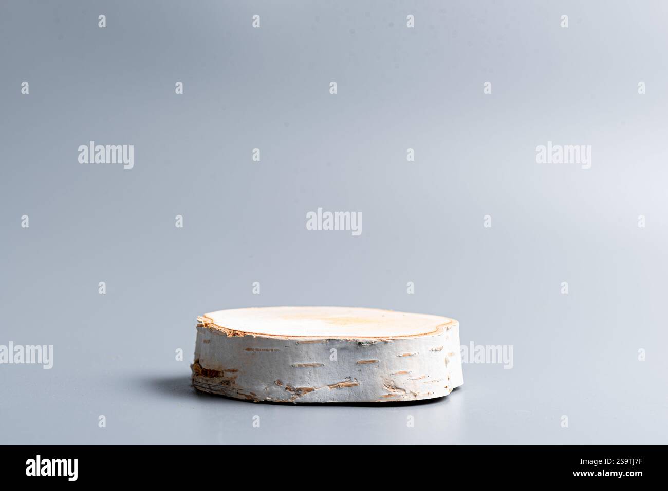 Leeres Holz geschnittenes Poduim für die Produktanzeige. Holzbirkensockel auf neutralgrauem Hintergrund, Vorlage. Stockfoto
