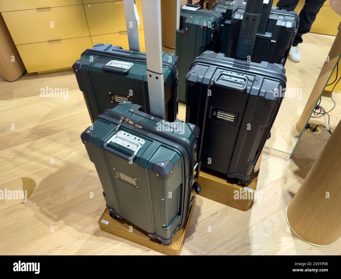 Stilvolle Gepäcksammlung in einer modernen Ladenumgebung Stockfoto