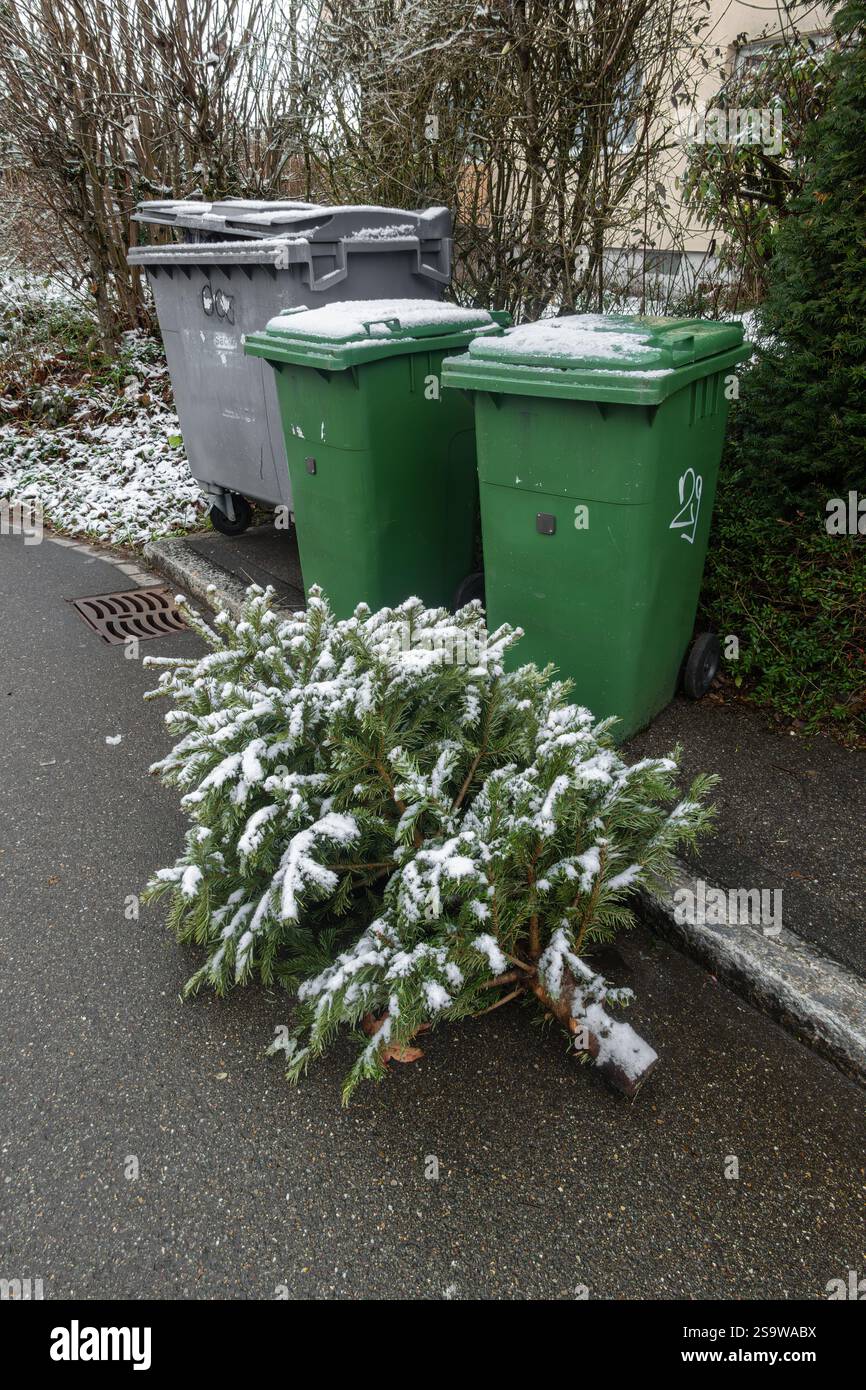 Ein schneebedeckter Weihnachtsbaum liegt in der Nähe grauer und grüner Recyclingbehälter auf einer Wohnstraße. Die Szene schlägt vor, nach Feiertagen aufzuräumen. Stockfoto