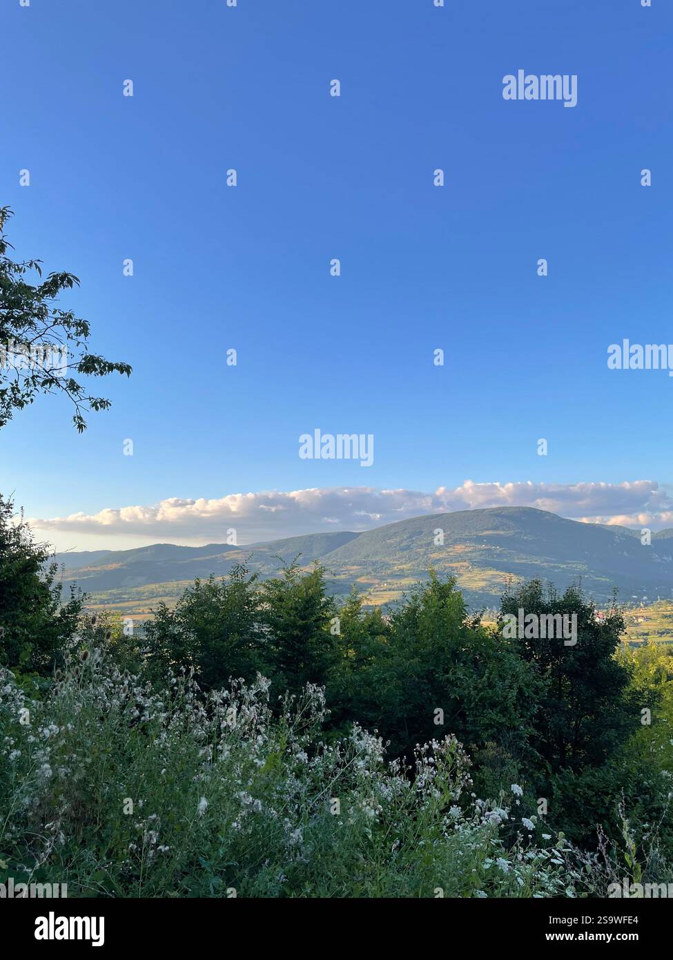 Wunderschöne Naturlandschaft | Berghintergrund Stockfoto