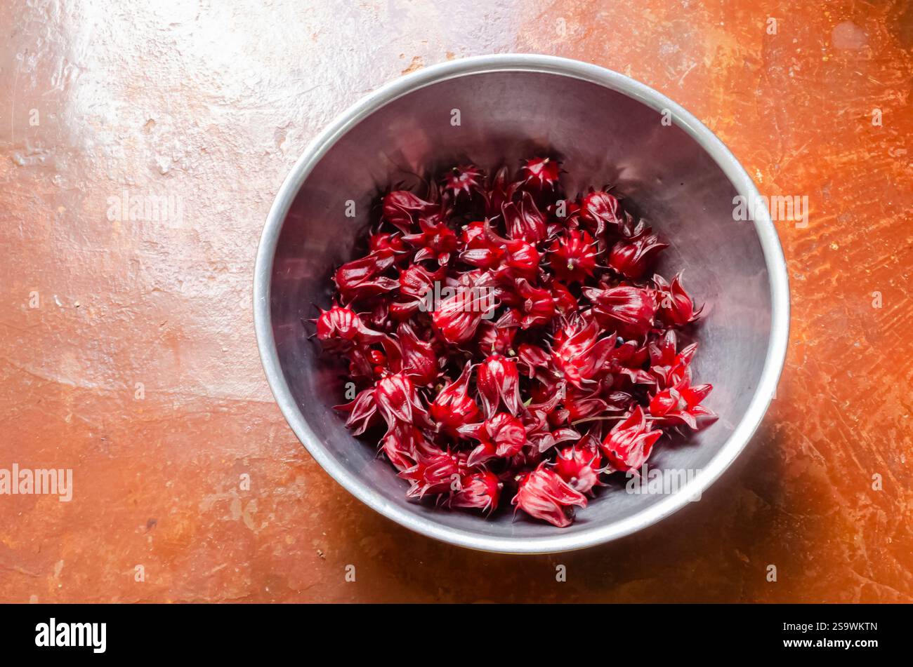Roter Sauerampfer in Einer Stahlschale Stockfoto