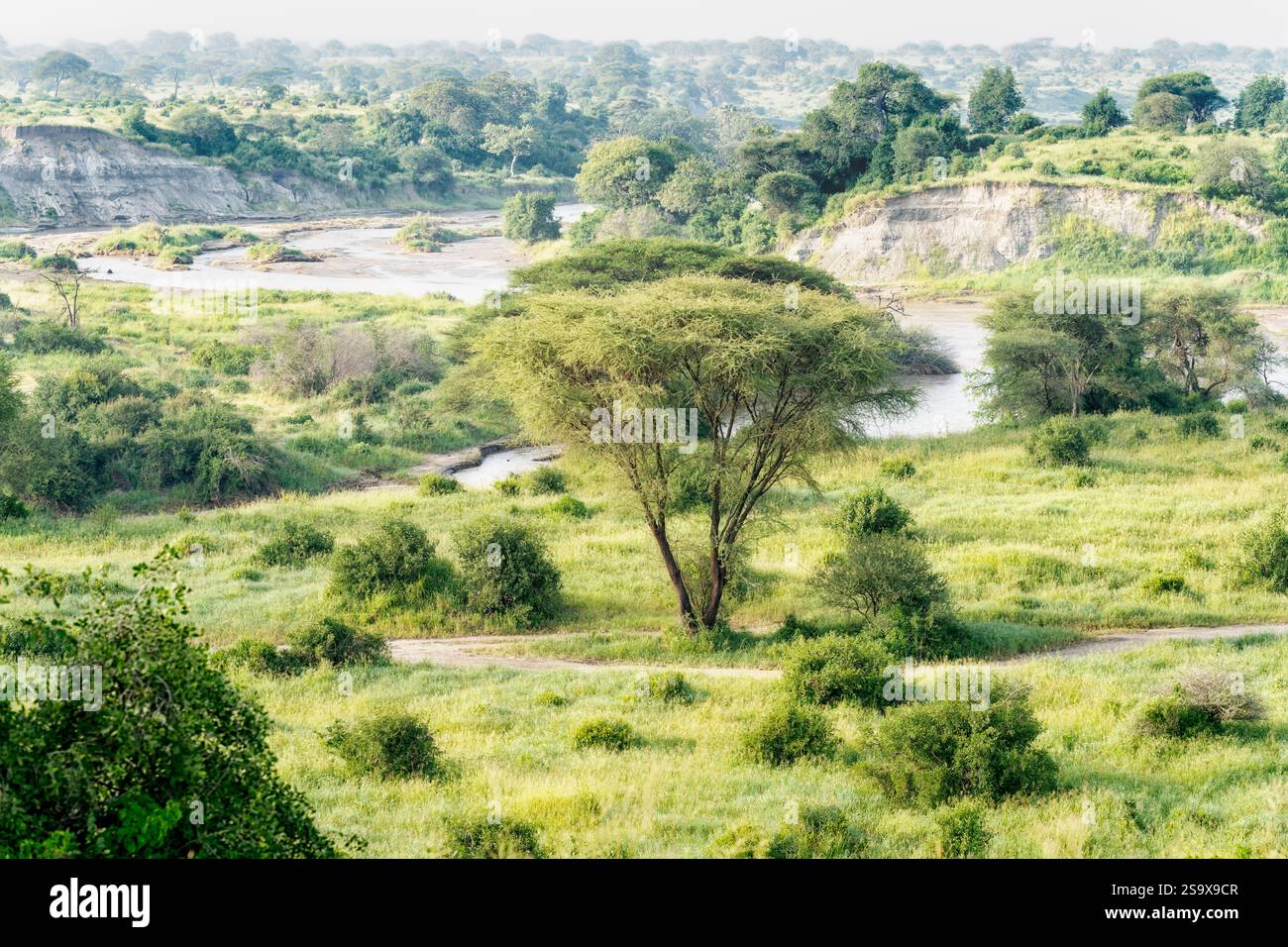 Afrika, Tansania. Ausblicke im Tarangire Nationalpark. Stockfoto
