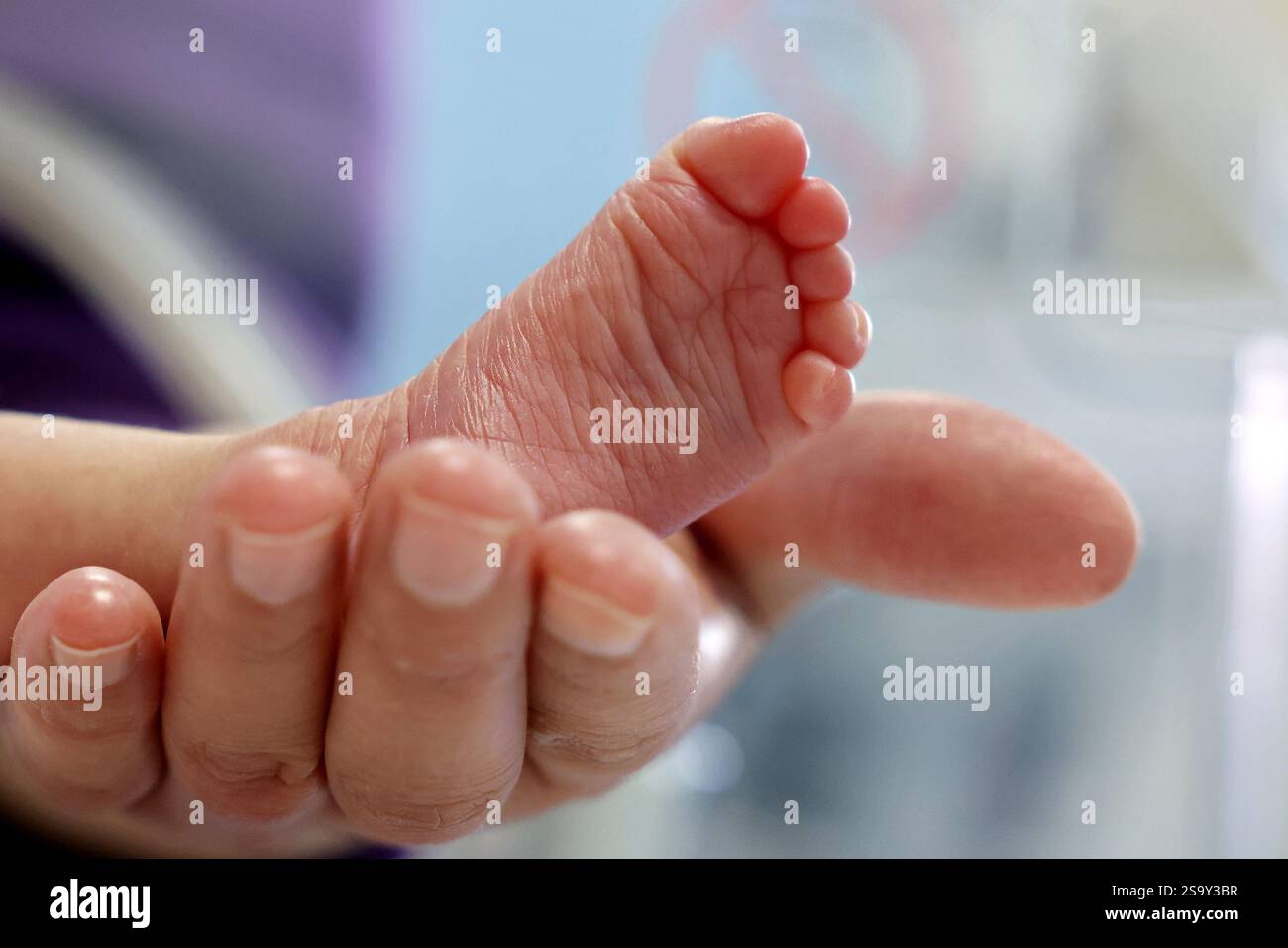 Ein medizinischer Mitarbeiter betreut Neugeborene im Mütter- und Kinderkrankenhaus Zaozhuang in der ostchinesischen Provinz Shandong, 28. Januar 2025. Stockfoto