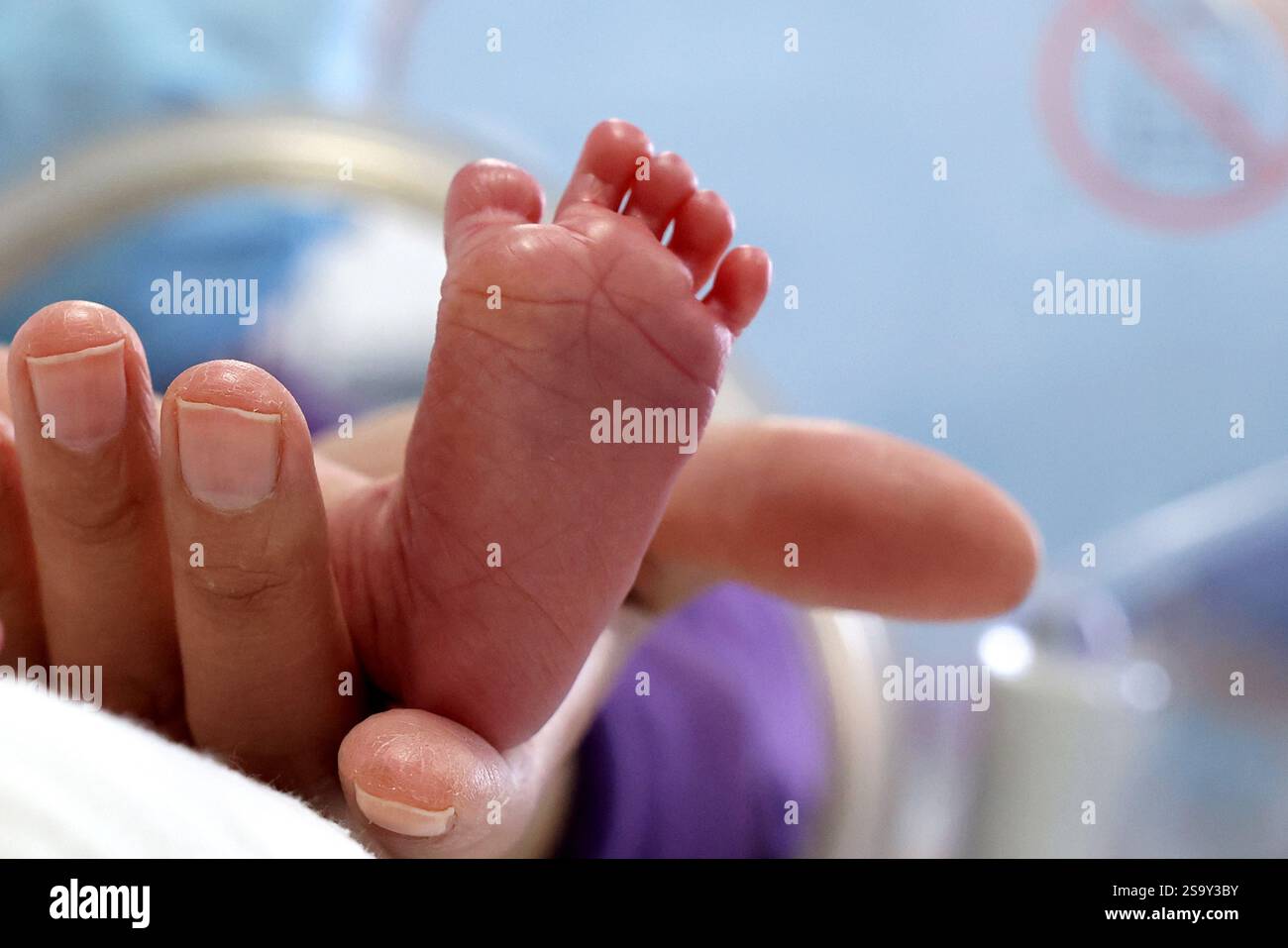 Ein medizinischer Mitarbeiter betreut Neugeborene im Mütter- und Kinderkrankenhaus Zaozhuang in der ostchinesischen Provinz Shandong, 28. Januar 2025. Stockfoto