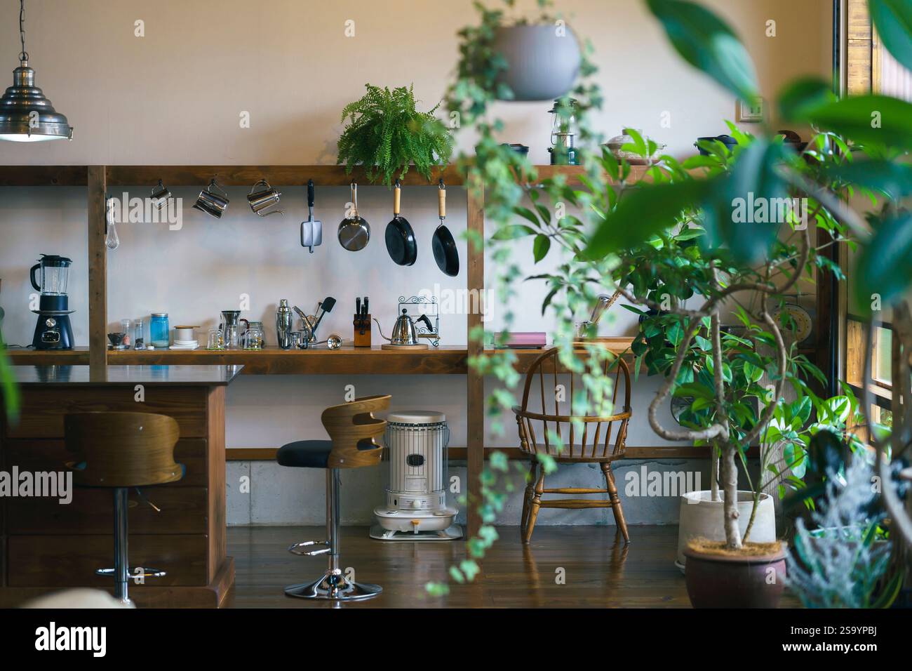 Stilvoller Raum mit Zimmerpflanzen Stockfoto