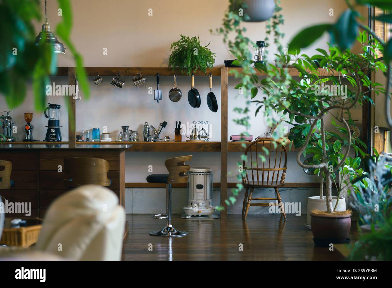 Stilvoller Raum mit Zimmerpflanzen Stockfoto