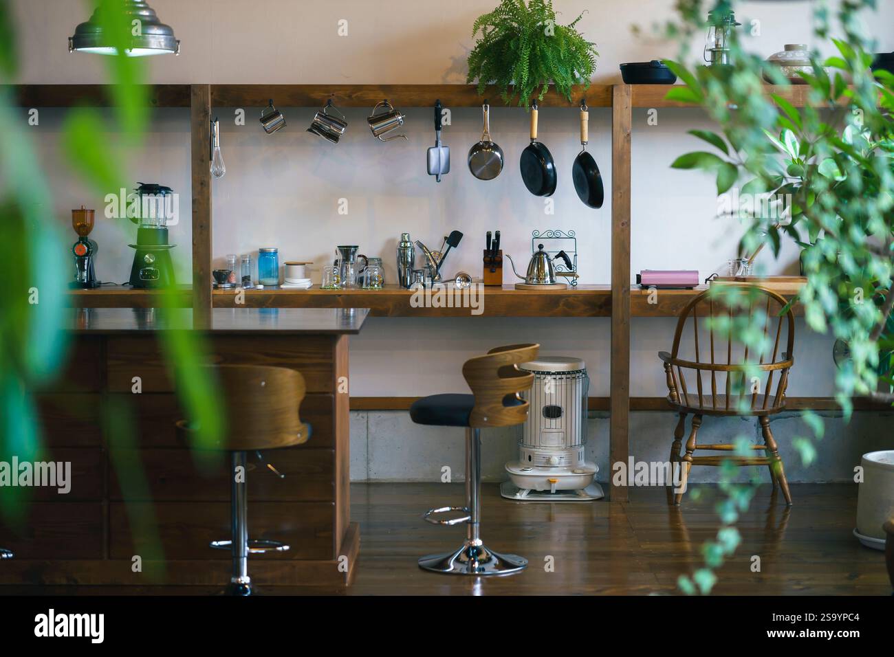 Stilvoller Raum mit Zimmerpflanzen Stockfoto