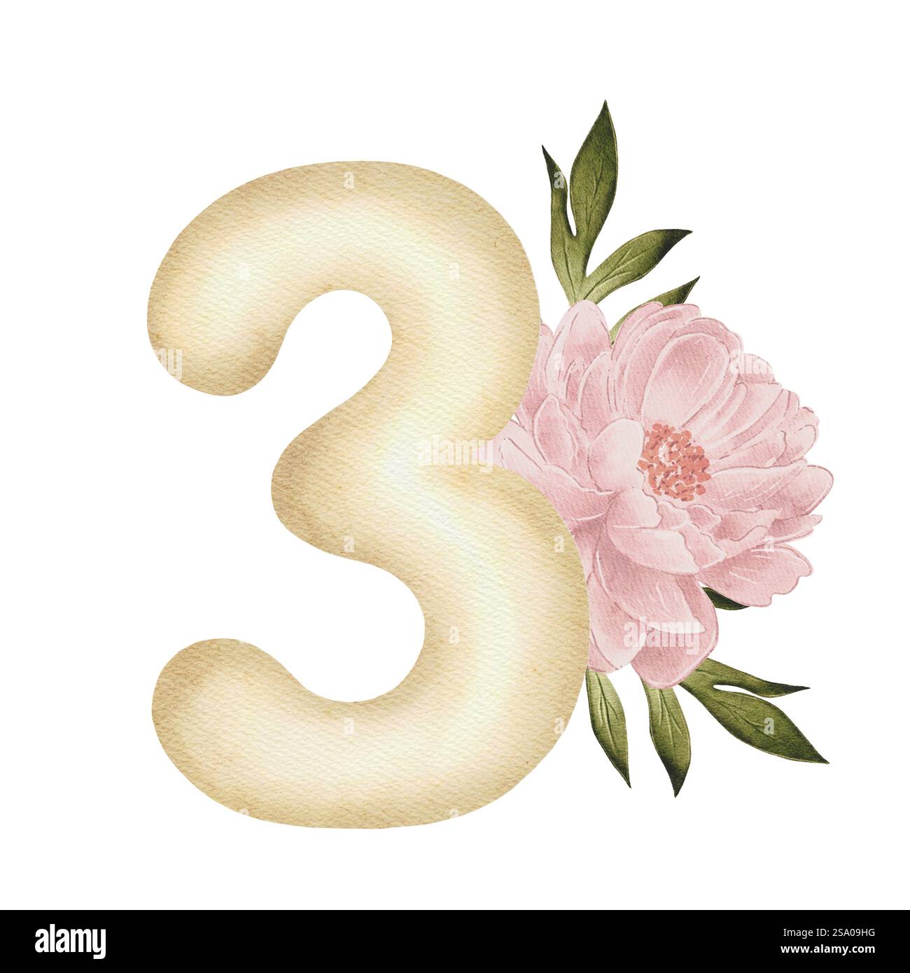 Zarte Aquarellillustration der Zahl drei mit rosa Pfingstrosenblüte und grünen Blättern. Perfekt zum Dekorieren von Kinderfeiern, Geburtstagskarten, Einladungen und Designs zum dritten Geburtstag Stockfoto