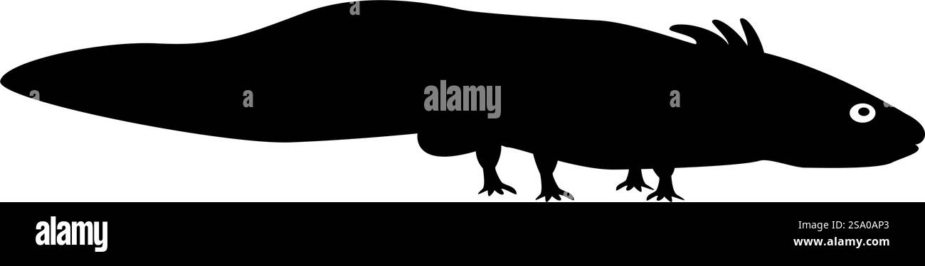 Axolotl ambystoma mexicanum Ansicht Seite Symbol schwarz Farbe Vektor Illustration Bild flach Stil einfach. Axolotl ambystoma mexicanum Ansicht Seite Symbol schwarz Farbe Vektor Illustration Bild flach Stil Stock Vektor