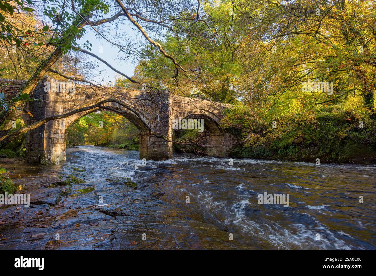 Neue Brücke über den Fluss Dart im Herbst im Dartmoor-Nationalpark in Devon, England. Stockfoto