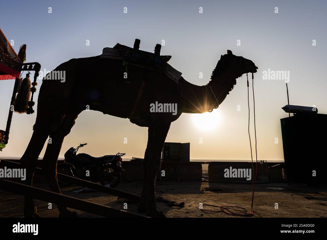Hintergrundbild des isolierten Kamels in der weißen Salzwüste mit Sonnenfackeln am Morgen wird im weißen rann gujrat india von Dhordo kutch aufgenommen. Stockfoto
