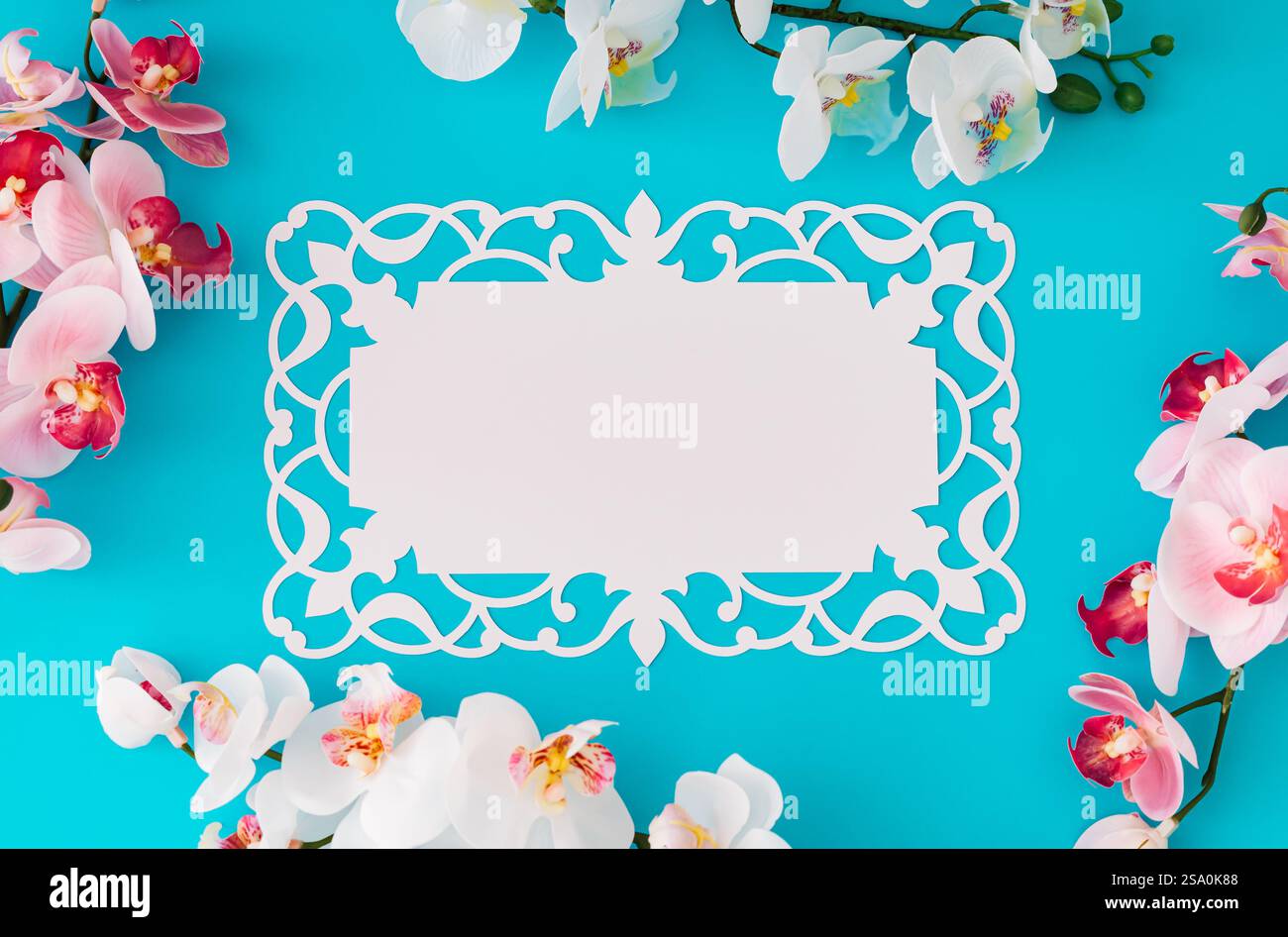 Schöne Orchideenblüten auf hellblauem Hintergrund mit Papierkartennotiz. Minimales Konzept. Kreatives Layout für Frühling und Sommer. Blumenästhetik. Stockfoto