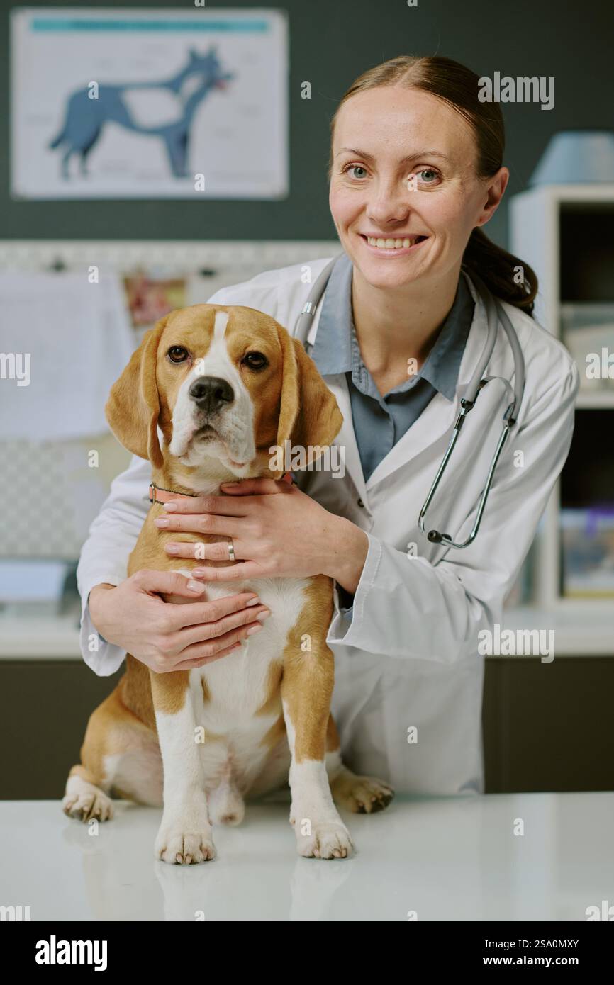 Tierarzt untersucht die Gesundheit des Hundes in der Klinik, der ruhige Ausdruck des Hundes und der sanfte Umgang mit Betonung von Pflege und Professionalität Stockfoto