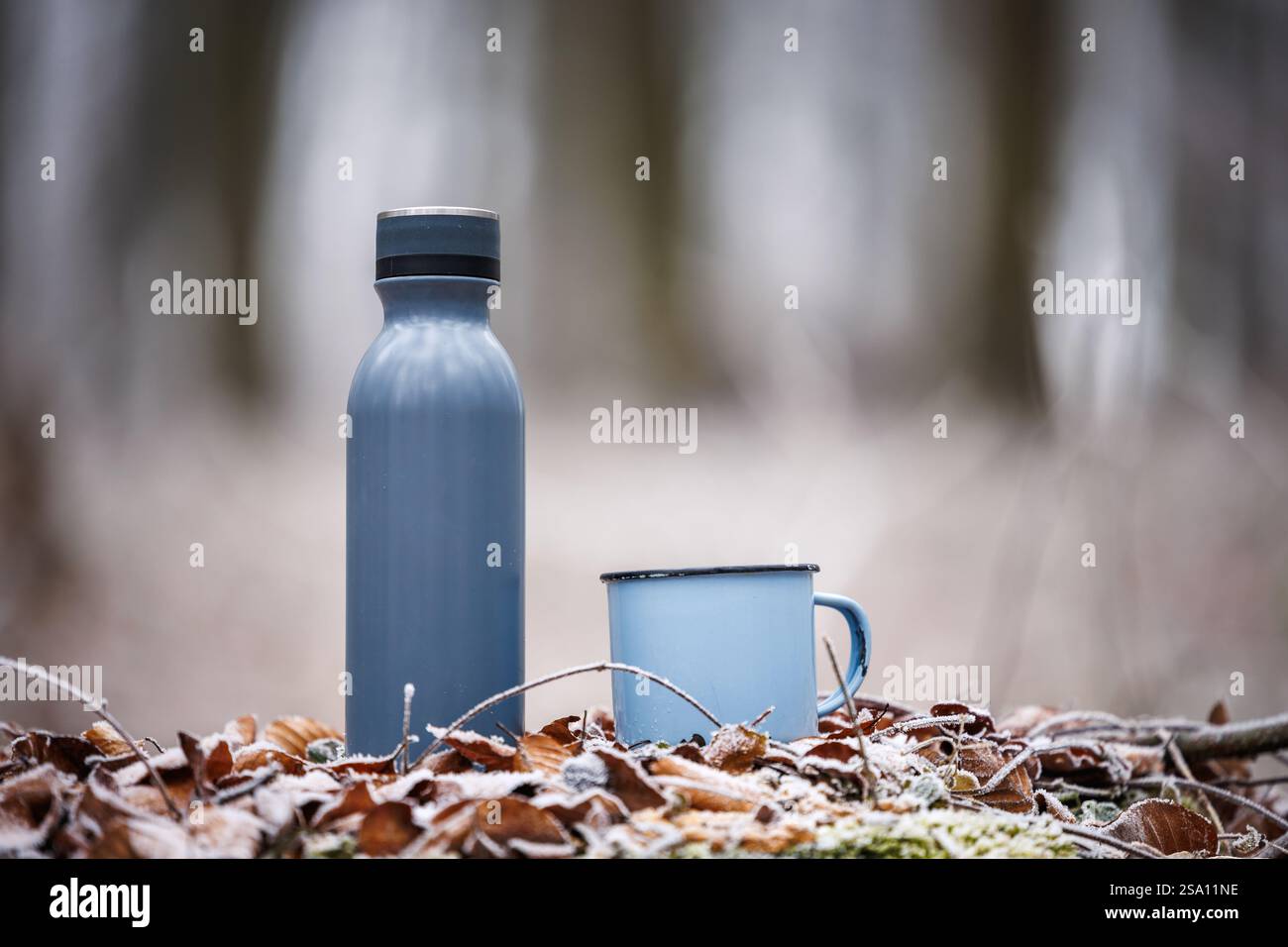 Thermoskanne und Reisebecher in gefrorener Winterlandschaft. Erfrischungen mit heißen Getränken Stockfoto