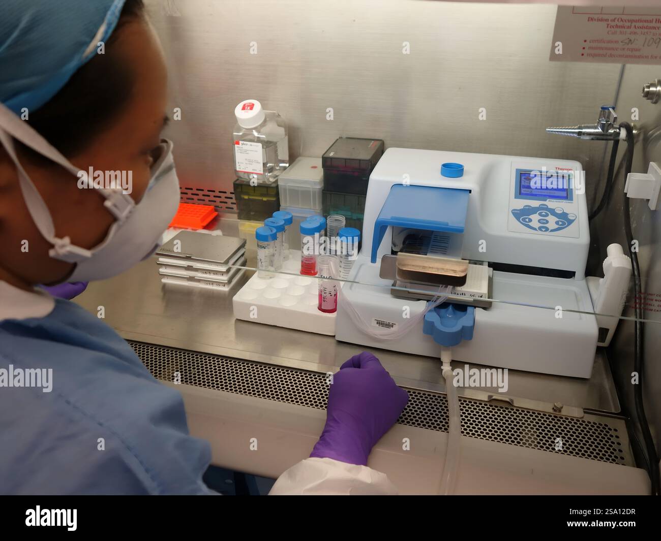 NCATS Forscher geben Zika Virus in Tabletts für Compound Screening in einem Labor unter Verwendung von Verfahren, die strengen Biosicherheitsstandards folgen. Stockfoto