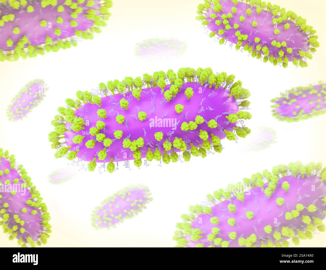 Kreatives Kunstwerk mit 3D-Renderings des Respiratory Syncytial Virus (RSV), einem häufigen ansteckenden Virus, das die menschlichen Atemwege infiziert. Stockfoto