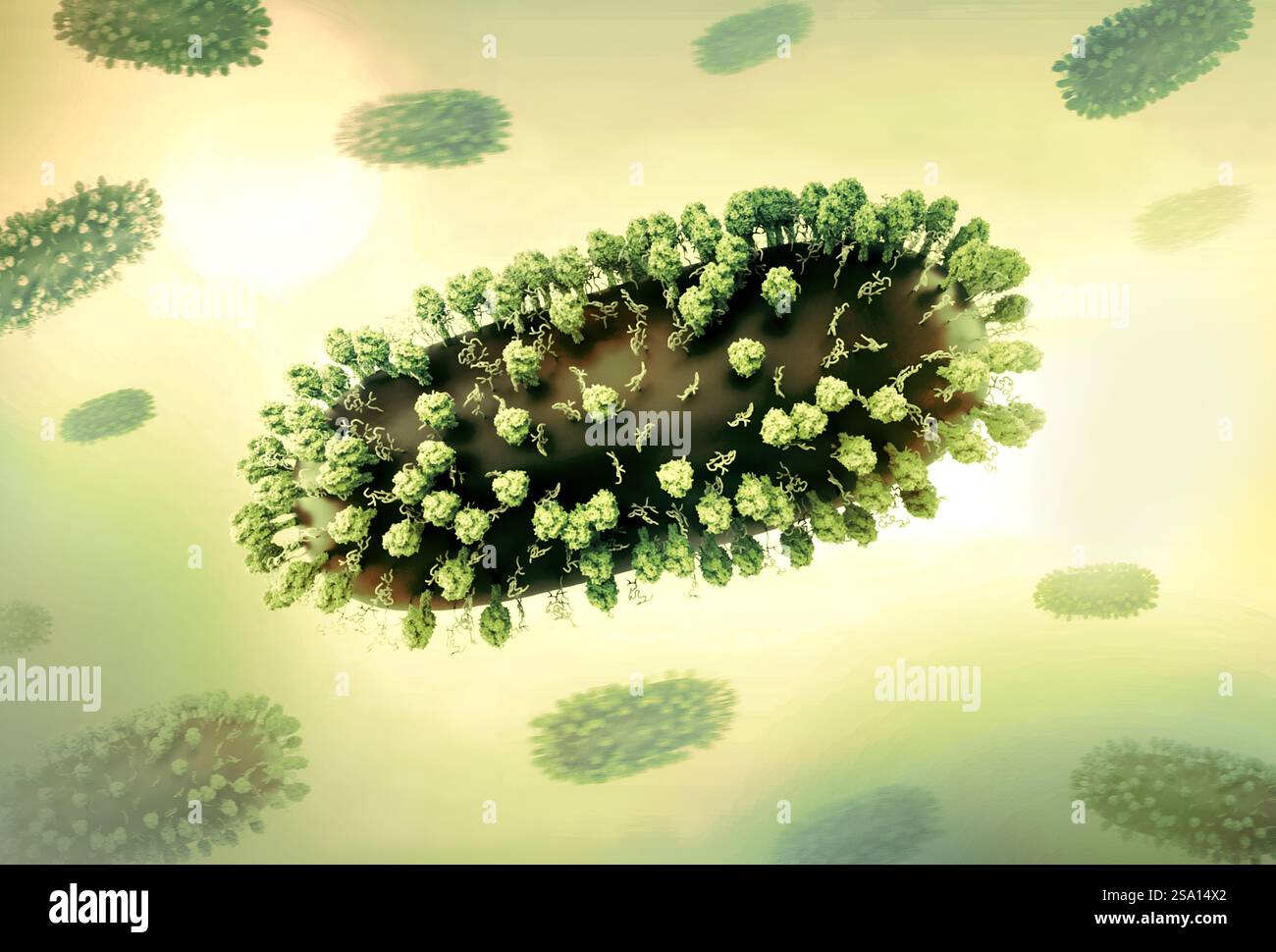 Kreatives Layout mit 3D-Renderings des Respiratory Syncytial Virus (RSV), eines häufigen ansteckenden Virus, das die menschlichen Atemwege infiziert. Stockfoto