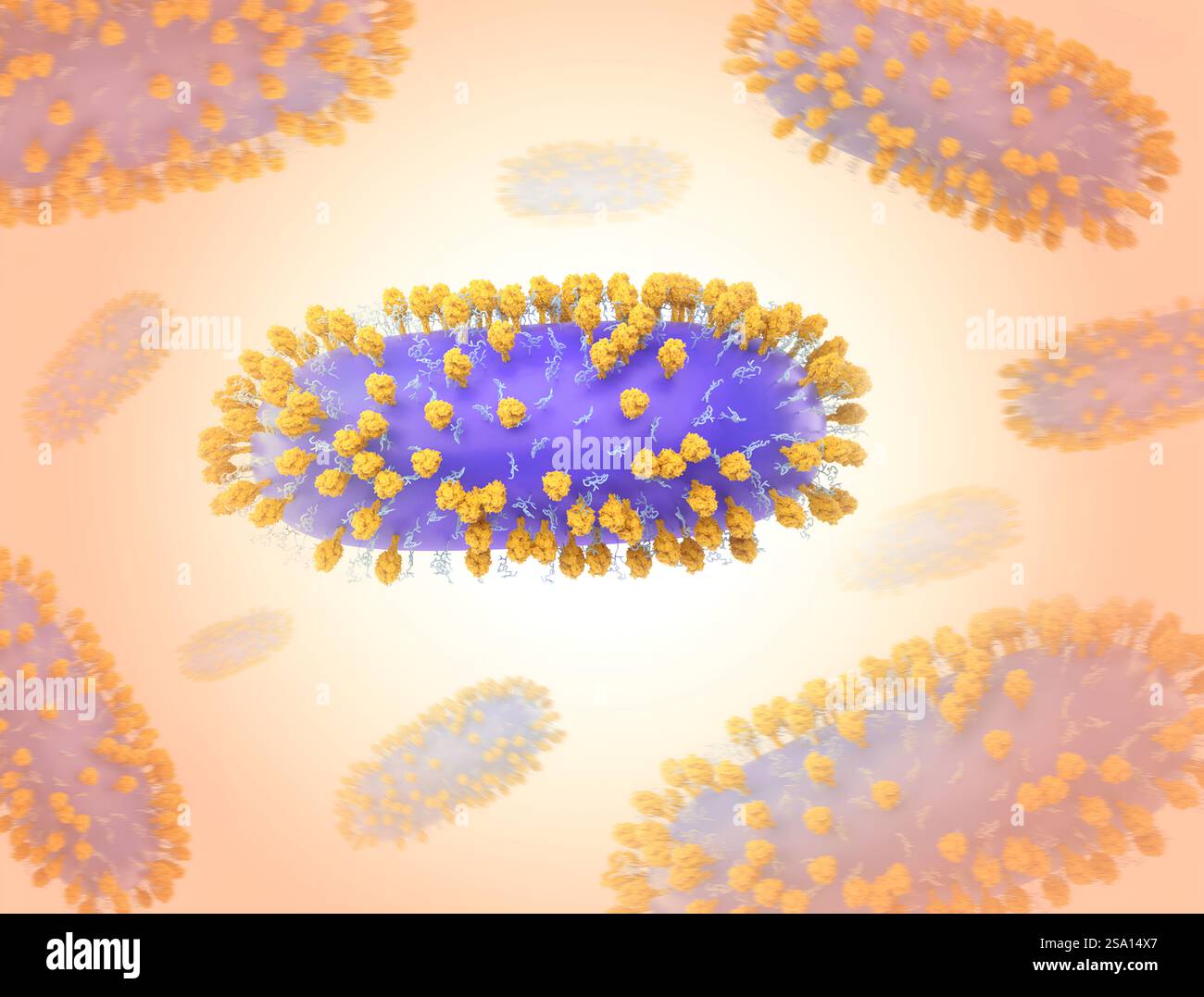 Kreatives Kunstwerk mit 3D-Renderings des Respiratory Syncytial Virus (RSV), einem häufigen ansteckenden Virus, das die menschlichen Atemwege infiziert. Stockfoto