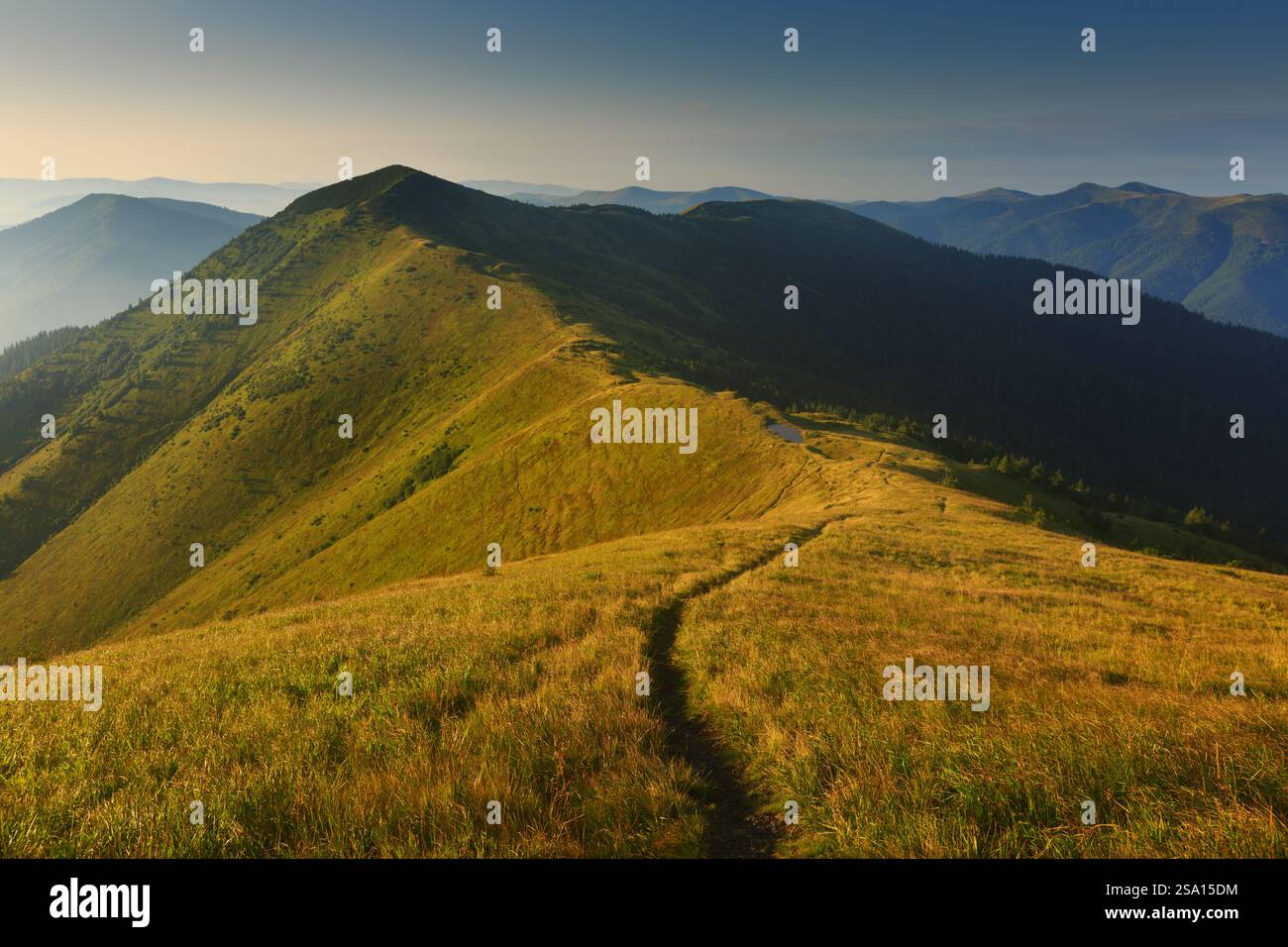 Ein landschaftlich reizvoller Weg auf dem Strimba Peak in den Karpaten, Gorgany Range, während der Golden Hour, Synevyr National Nature Park, mit einem weiten Panoramablick. Stockfoto