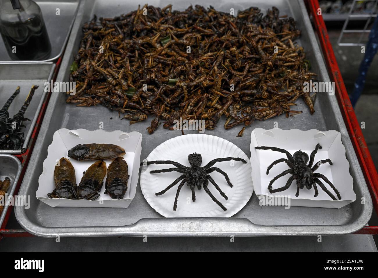 Frittierte Taranteln, Heuschrecken und Käfer an einem Verkaufsstand auf dem Markt an der Khaosan Road, Bang Lamphu, Bangkok, Thailand, Asien Stockfoto