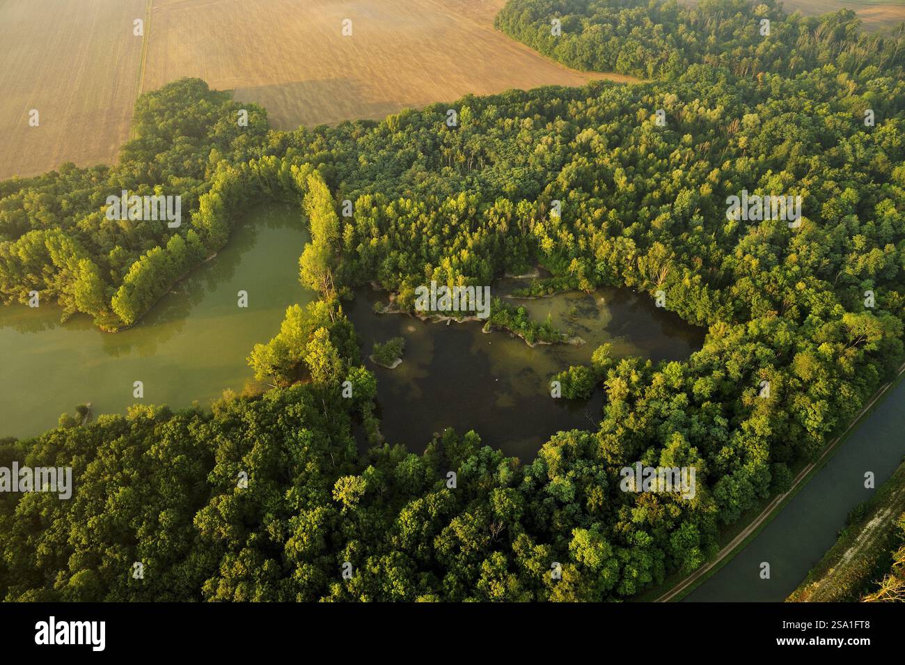 FRANKREICH. SEINE-ET-MARNE (77) HEISSLUFTBALLONFLUG (AUS DER LUFT) DURCH DAS LOING-TAL UND DEN WALD VON FONTAINEBLEAU Stockfoto