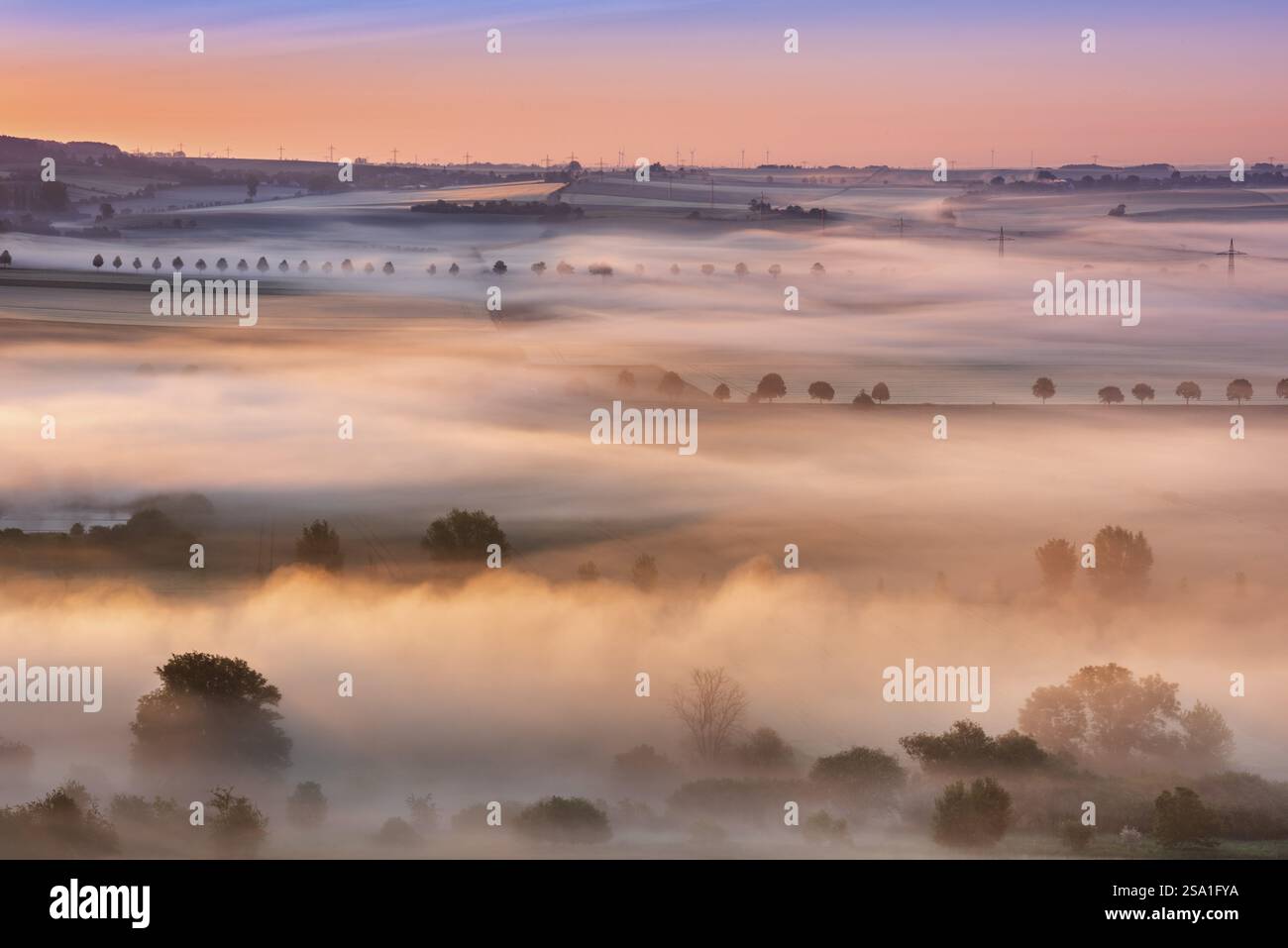 Kulturlandschaft bei Sonnenaufgang, Morgennebel im ersten Licht, Unstruttal, Freyburg (Unstrut), Sachsen-Anhalt, Deutschland, Europa Stockfoto