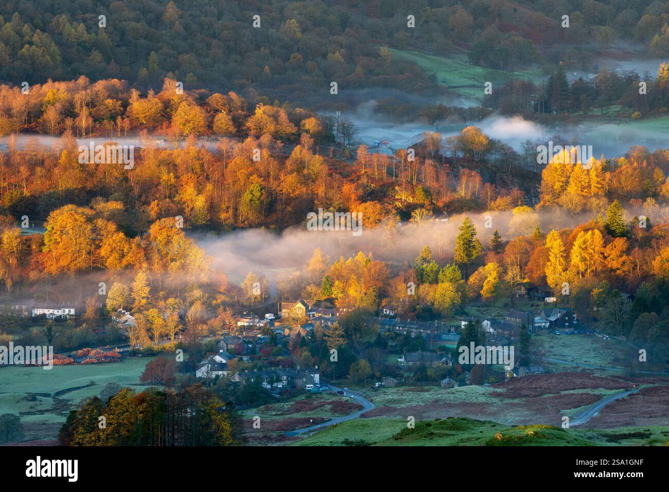 Lebhafte Herbstfarben im nebeligen Tal mit goldenem Sonnenlicht, Elterwater Village, Lake District, Großbritannien. Stockfoto