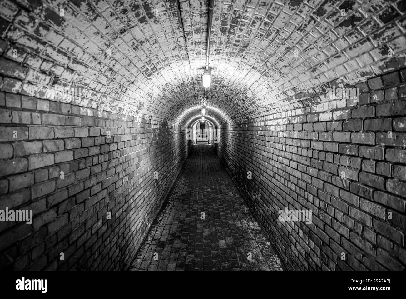 Fotografie Kunst Landschaft Natur Wildtiere Sonnenuntergang Nacht Wasserberge Stockfoto