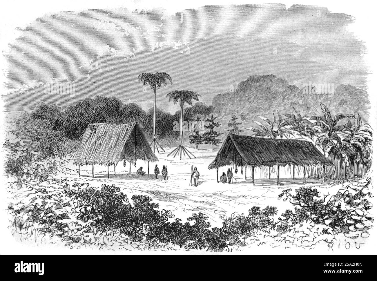 Anti- oder Antis-Menschen oder Indianer, und kommunale Unterkünfte oder Hütten, bekannt als Ajoupa, in Manugali, Echarate oder Echarati, Peru, Amazonas, Südamerika. Anti ist ein Inka-Name für die indigenen Ashaninka oder Ashaninka aus dem Amazonaswald von Peru und Brasilien Südamerika. Vintage oder historische Gravur oder Illustration 1864. Stockfoto