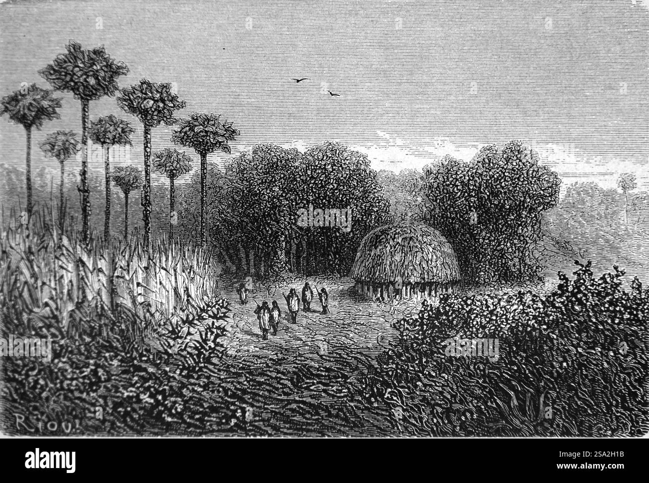 Round Hut, Beehive Hut oder Grass Hut of Anti oder Antis People in Polohuatini Peru. Anti ist ein Inka-Name für die indigenen Ashaninka oder Ashaninka aus dem Amazonaswald von Peru und Brasilien Südamerika. Vintage oder historische Gravur oder Illustration 1864. Stockfoto