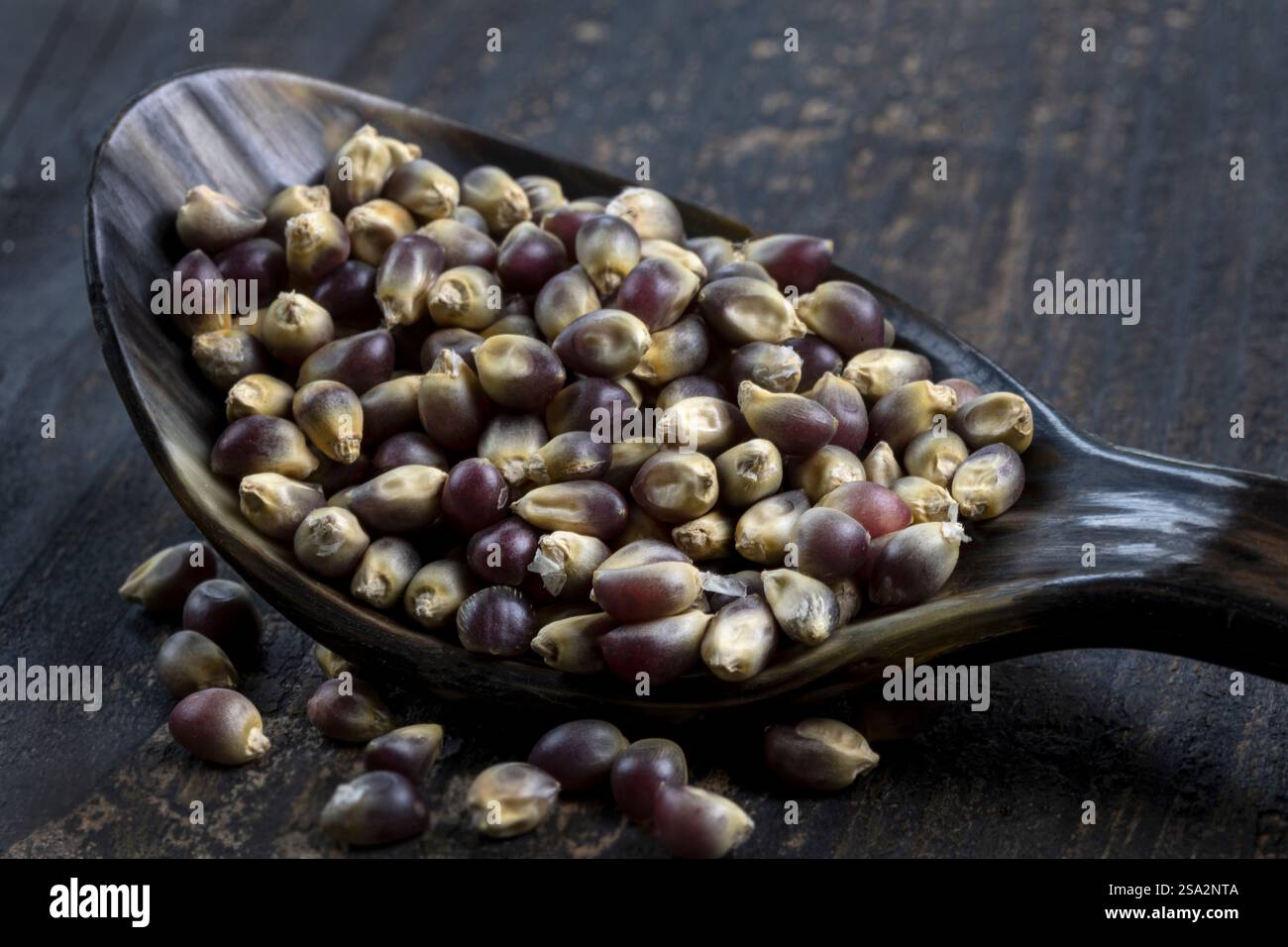 Blaue Maiskerne. Stockfoto