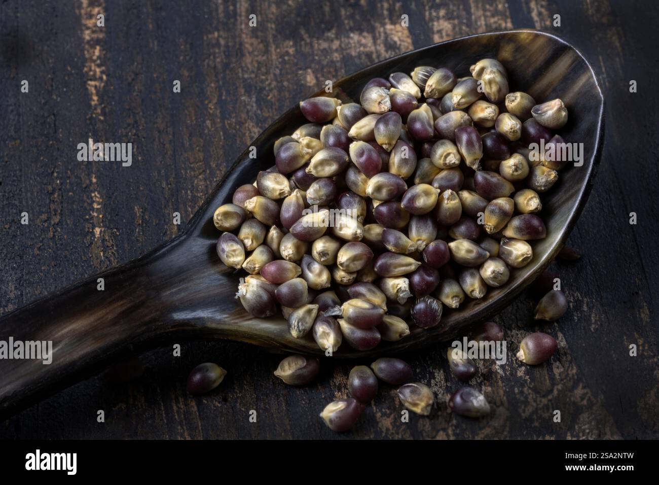 Blaue Maiskerne. Stockfoto
