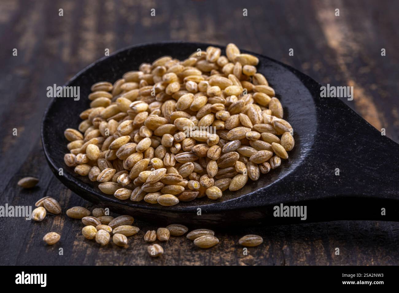 Bio-Weizenkörner. Stockfoto