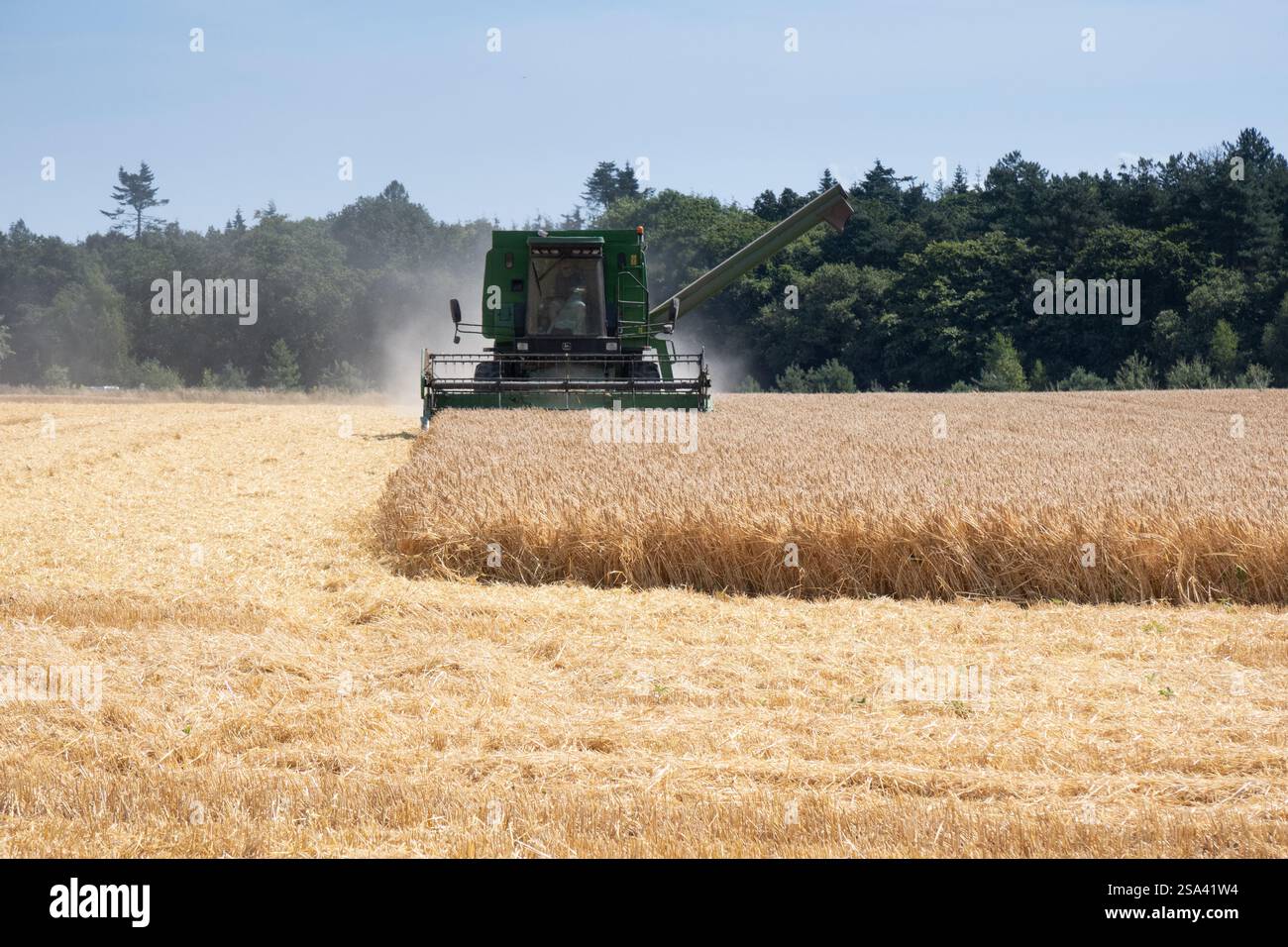 Mähdrescher, der Weizenfeld in Norfolk schneidet Stockfoto