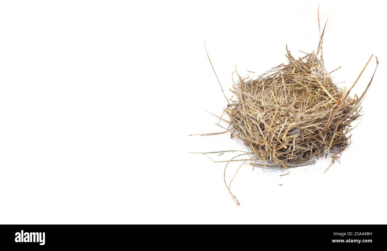 Leeres Vogelnest vom östlichen Blauvogel aus alten braunen Kiefernnadeln. Die quadratische Form wurde nach der Nistzeit aus der künstlichen Vogelkiste entfernt. Isolierter o Stockfoto