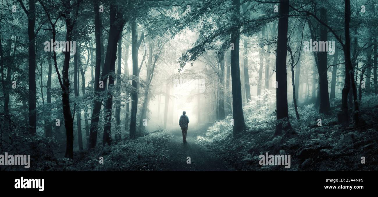 Wandern in einem Waldtraumland. Echtes Foto einer fantastischen traumhaften Landschaft mit coolen Farbtönen im fantastischen Stil im Panoramaformat. Stockfoto