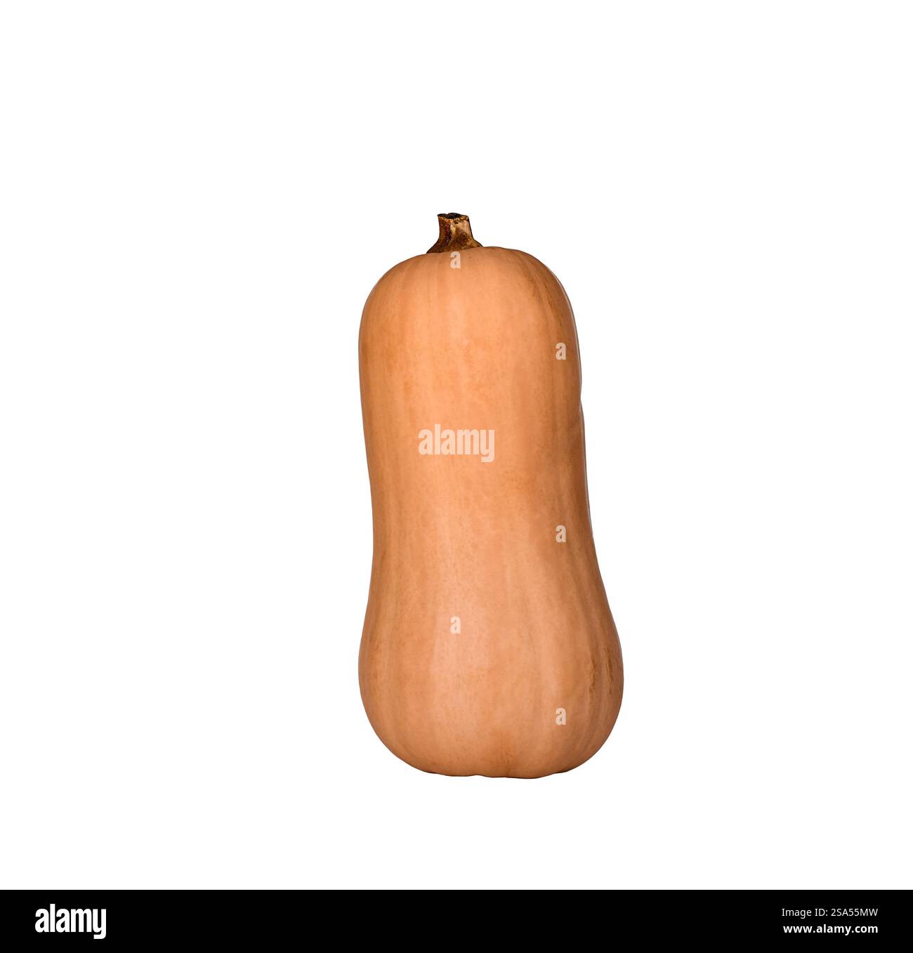Isolierter Ausschnitt aus Butternusskürbis Stockfoto