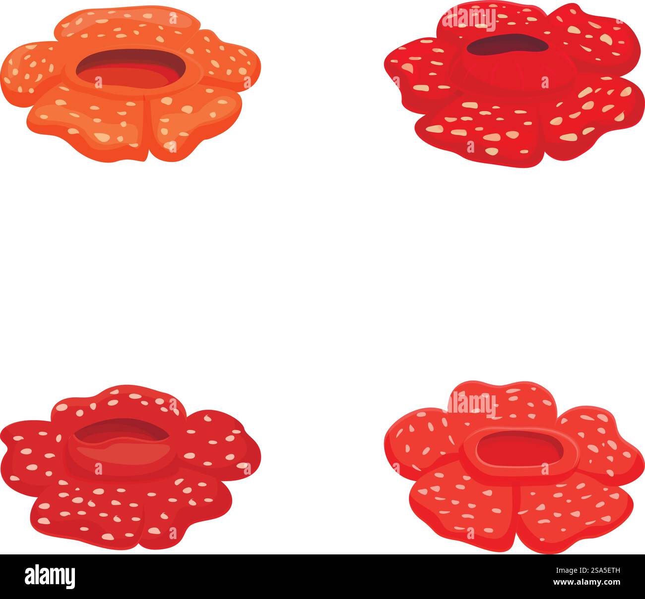Lebendige Sammlung von rafflesia-Blumen-Illustrationen, dargestellt in vier verschiedenen Farbtönen. Set von bunten rafflesia Blumen isoliert auf weiß Stock Vektor