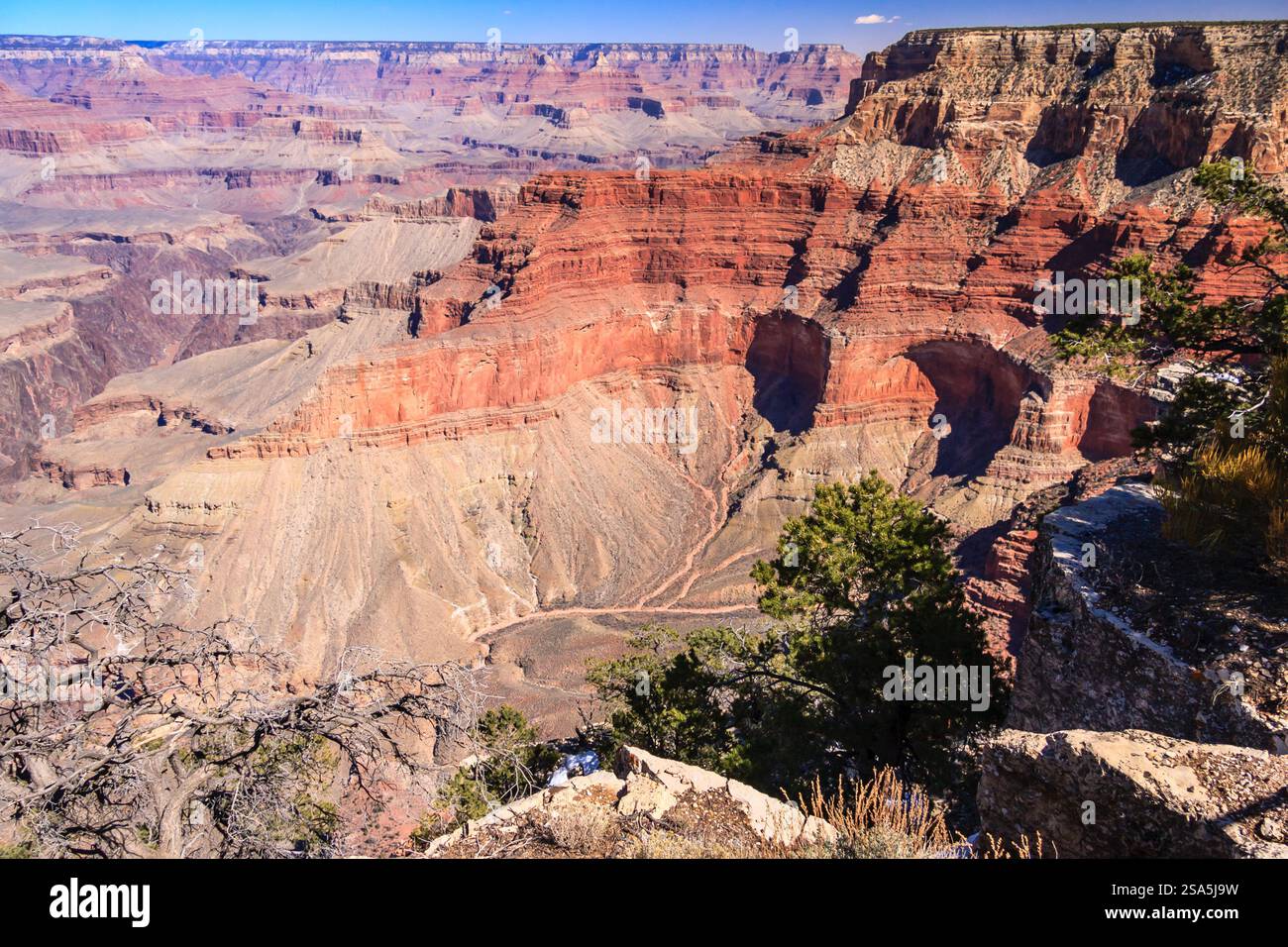Der Grand Canyon ist ein wunderschöner und beeindruckender Anblick. Der Canyon ist mit roten Felsformationen gefüllt und von Bäumen umgeben. Die Aussicht ist atemberaubend Stockfoto